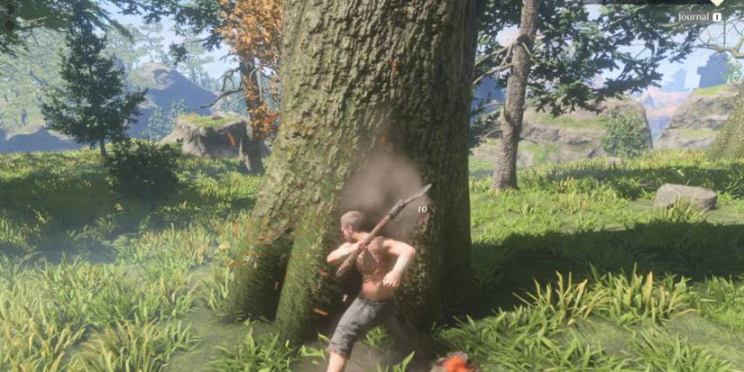 wooden logs enshrouded 