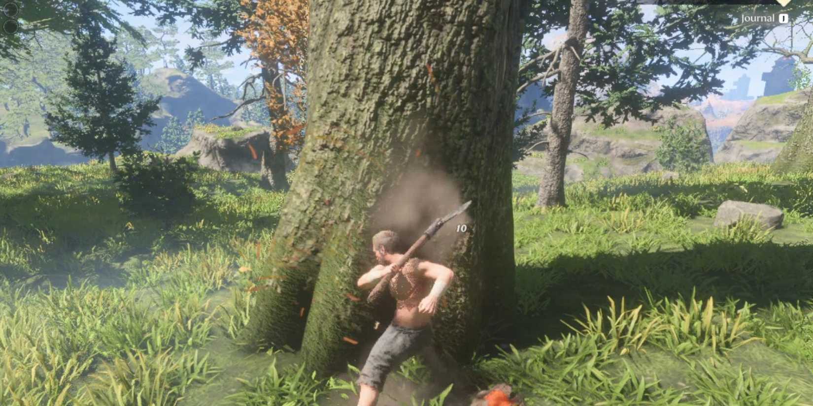 wooden logs enshrouded 