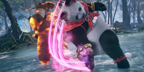 Tekken 8 - Panda Attacking Kuma