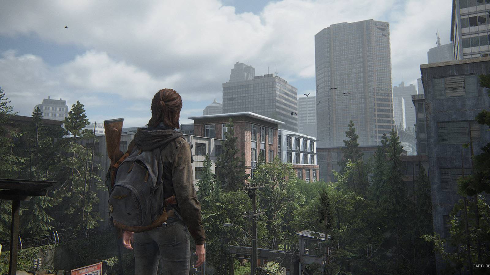 the last of us part 2 update 110