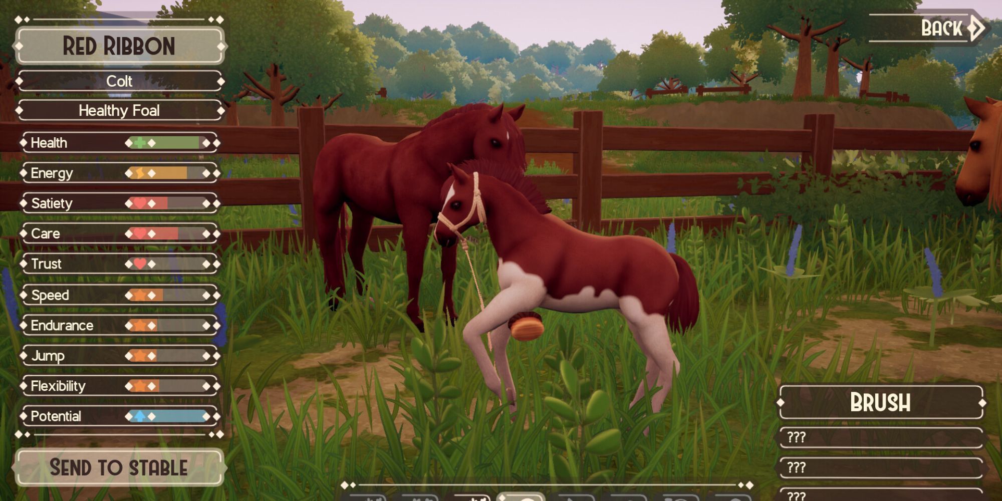 A horse and its baby in The Ranch Of Rivershine