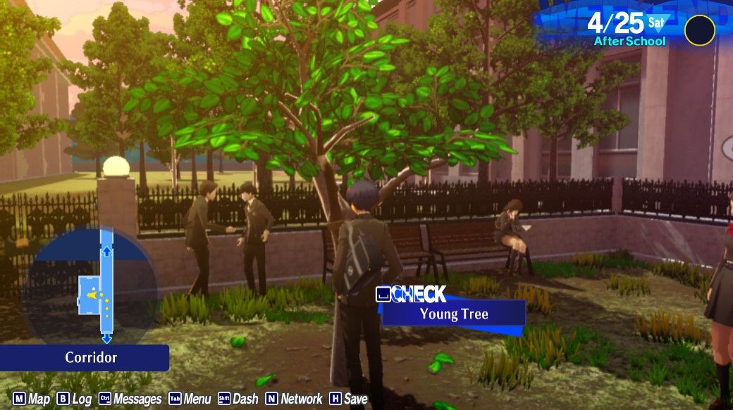 Расположение дерева хурмы в Persona 3 Reload