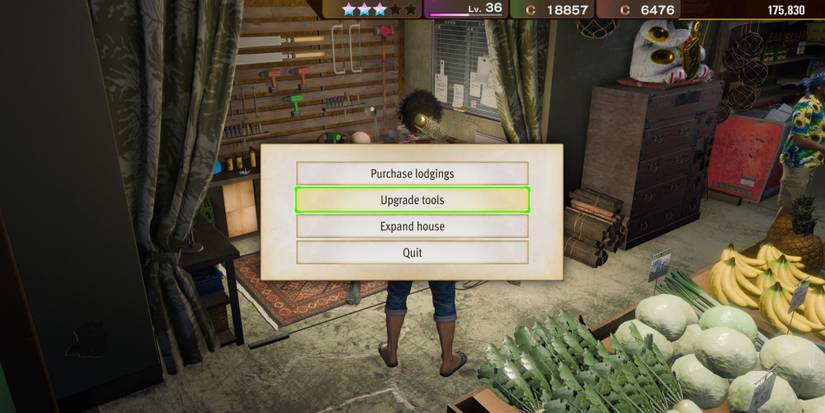 Upgrading Tools in Like A Dragon: Infinite Wealth