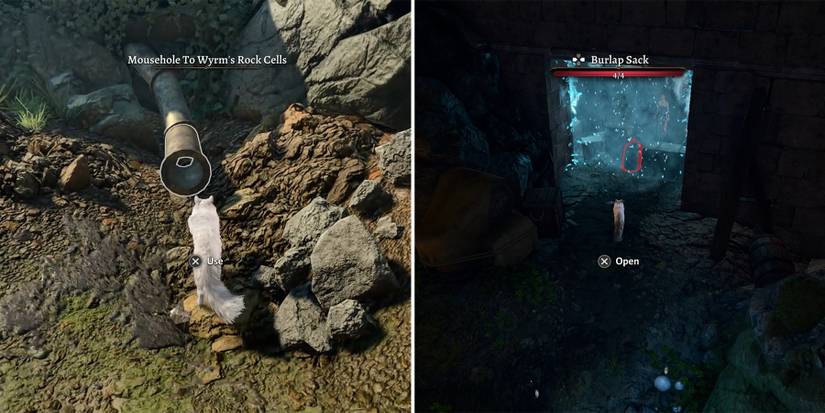 use a shape shifter to open the secret entrance in baldurs gate 3