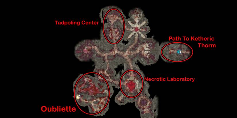 what to do in oubliette in baldurs gate 3