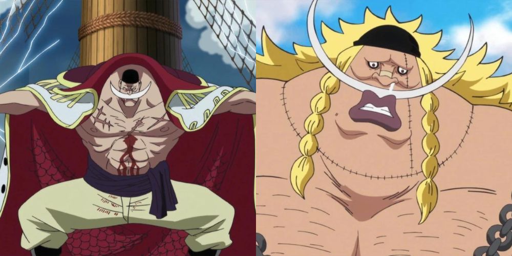 Whitebeard alongside his alleged biological son, Edward Weevil.