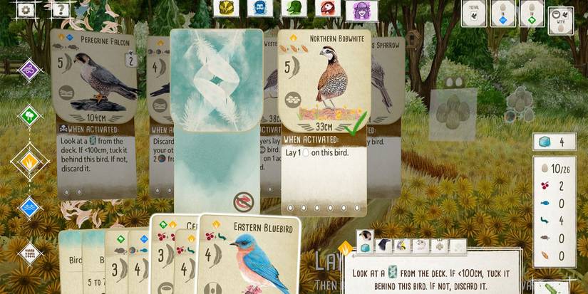 A view of the player's hand from Wingspan