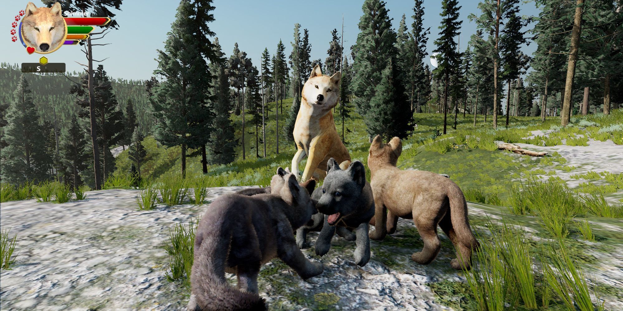 A pack of baby wolves in WolfQuest