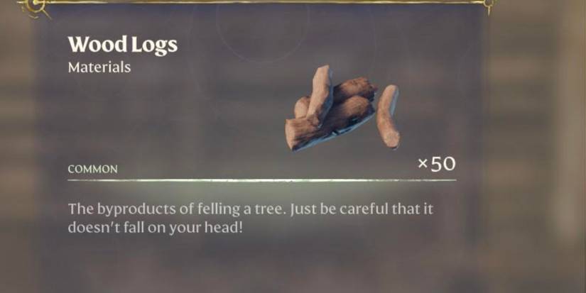 wood logs enshrouded