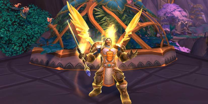 world-of-warcraft-paladin-unwritten-rules-wings