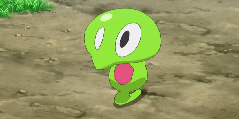 Zygarde's cell forme in the anime
