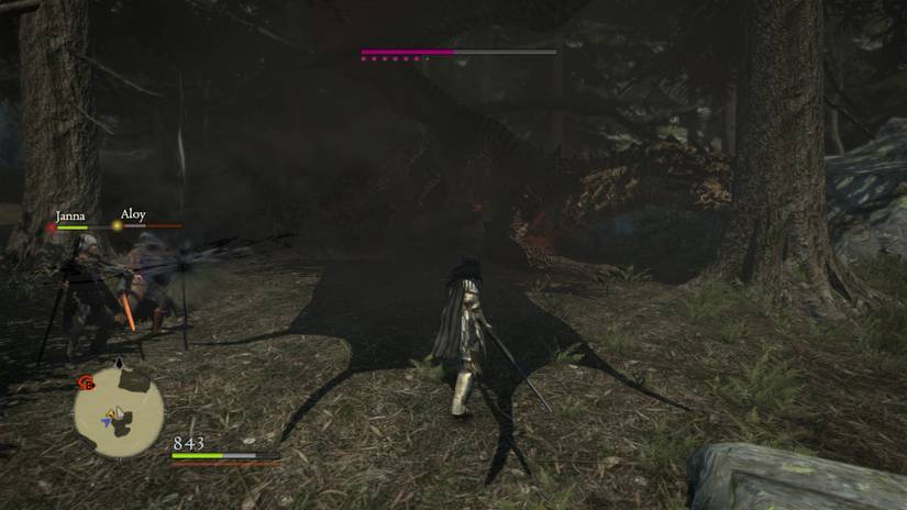 Fighting a drake in Dragon's Dogma Dark Arisen