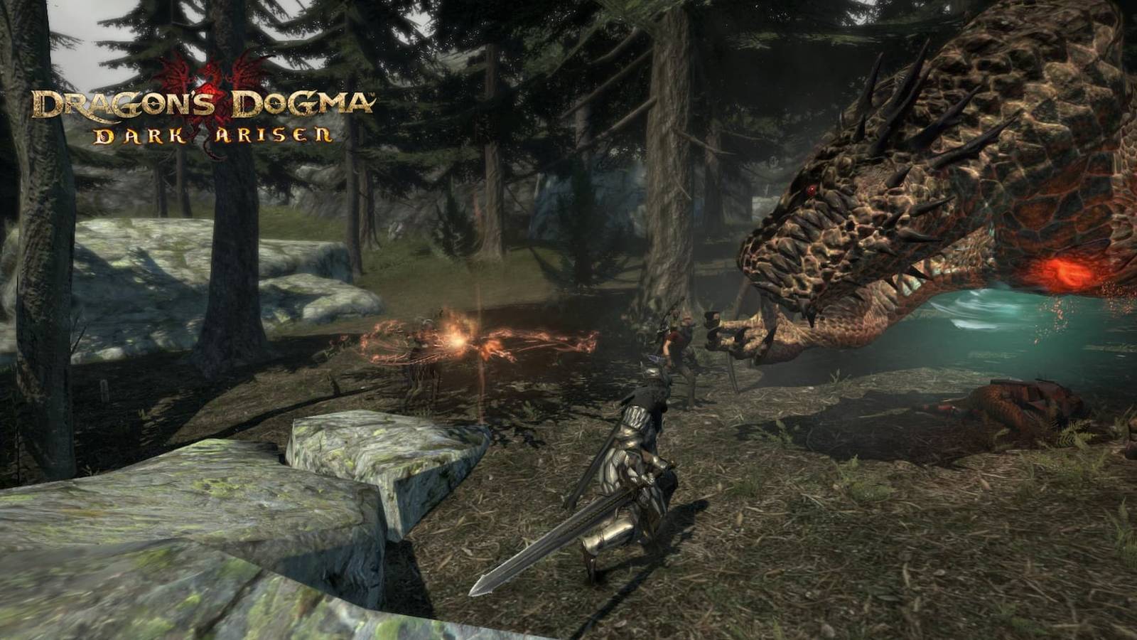 Warrior fighting a drake in Dragon's Dogma Dark Arisen