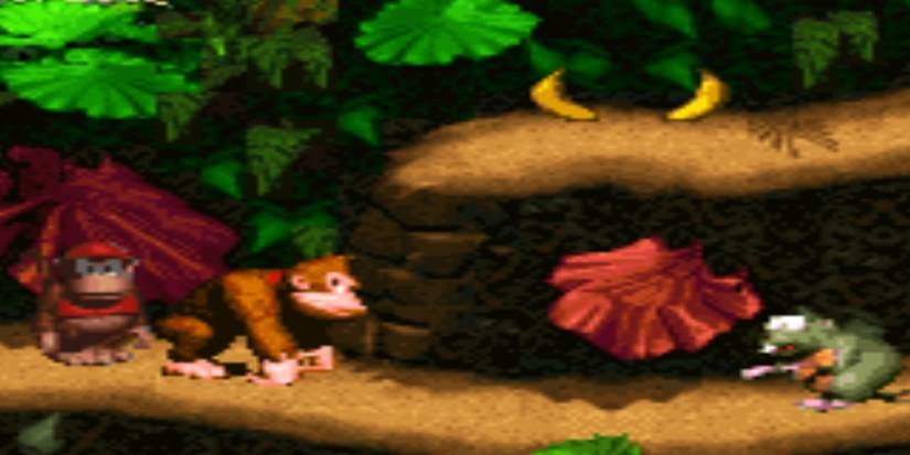 donkey kong and diddy kong in the jungle