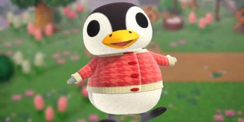 Aurora the penguin - animal crossing