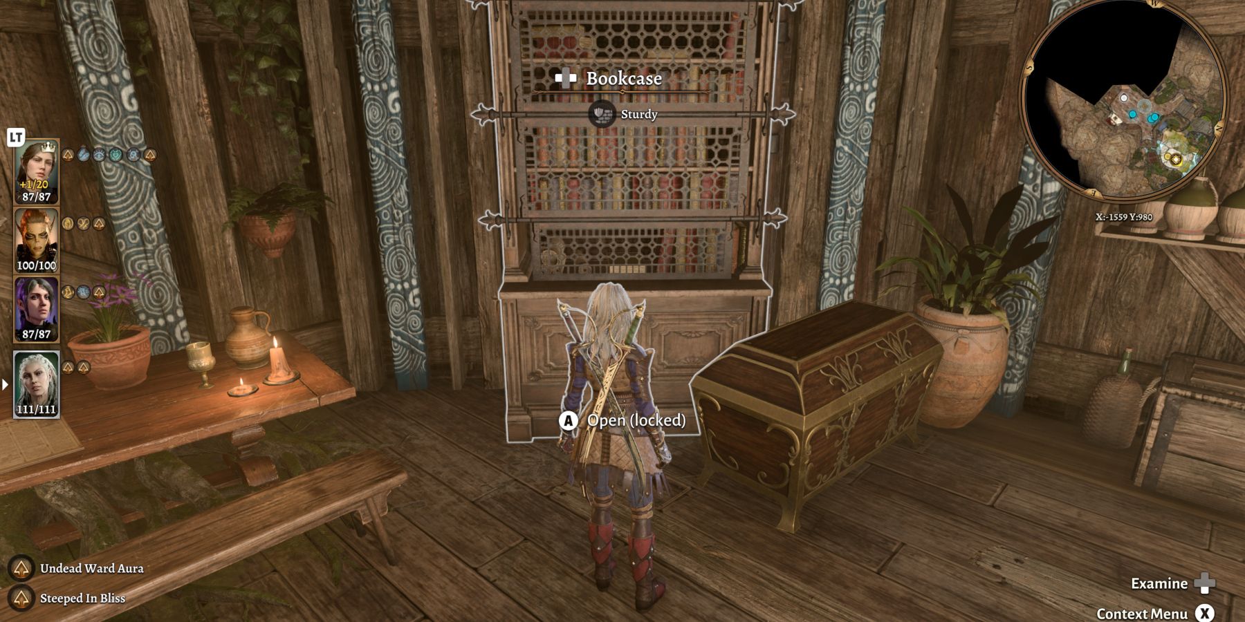 baldur's-gate-3-bookcase