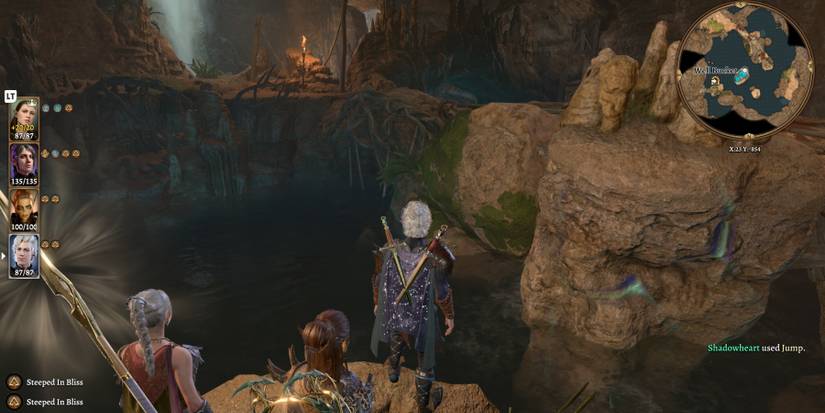 The cave area underneath the well Baldur's Gate 3