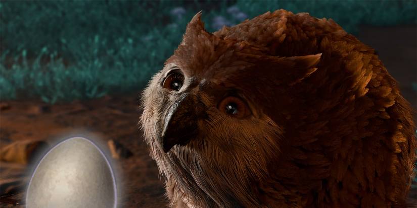 baldurs gate 3 owlbear egg use