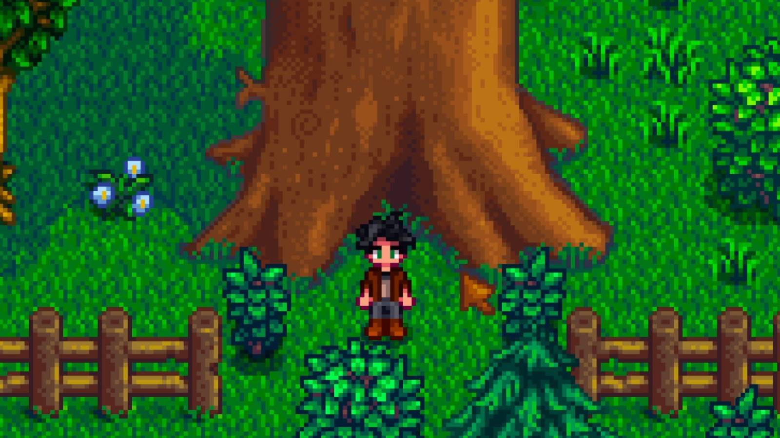 Big Tree in Stardew Valley