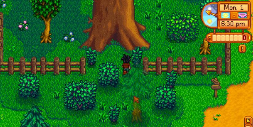 Big Tree in Stardew Valley