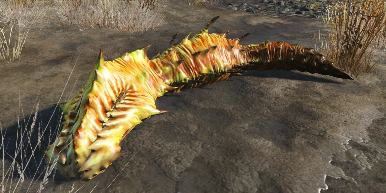 Bloodworm in Fallout 4