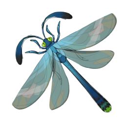 Brushtail_Dragonfly