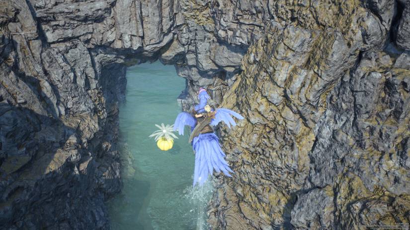 Chocograss #9 in Final Fantasy 7 Rebirth