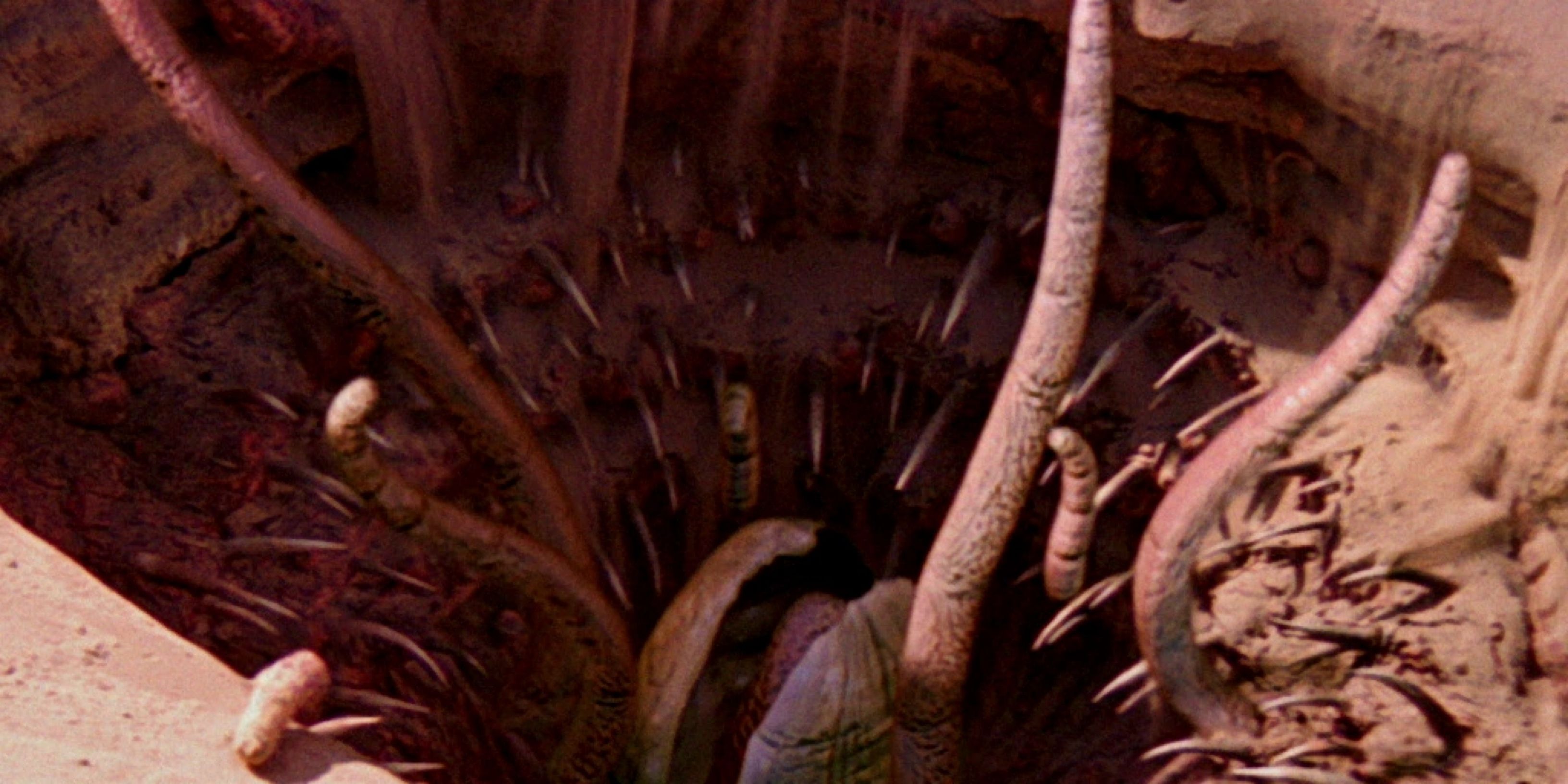 The Sarlacc in Return of the Jedi 