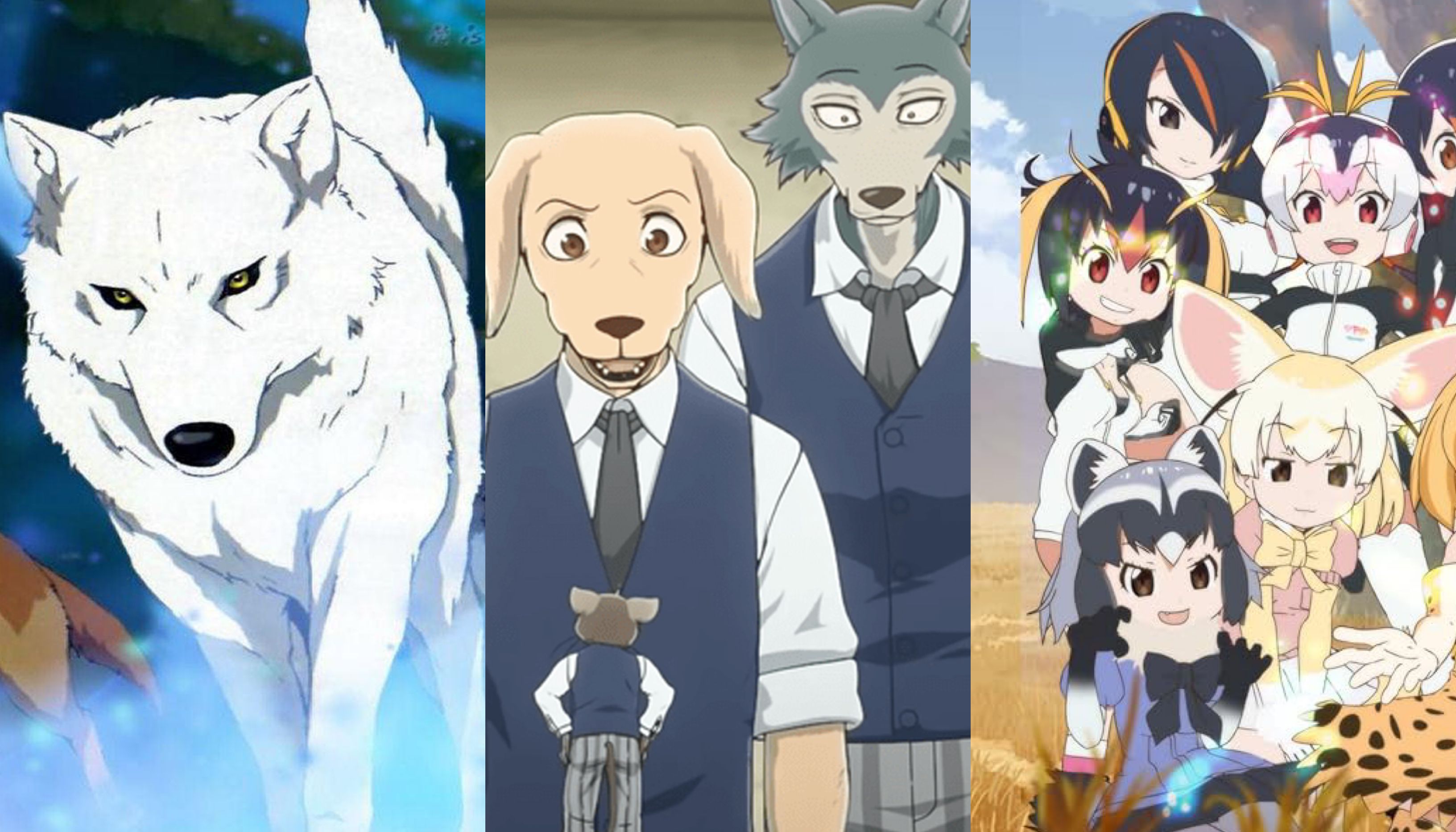 Anime with animal protagonists: Wolf's Rain (left), Beastars (middle), and Kemono Friends (right)