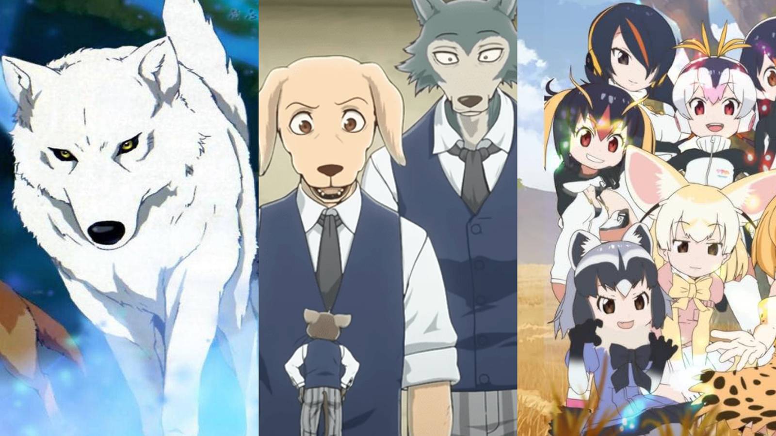 Anime with animal protagonists: Wolf's Rain (left), Beastars (middle), and Kemono Friends (right)