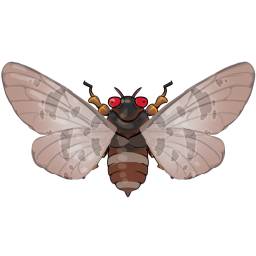 Common_Bark_Cicada
