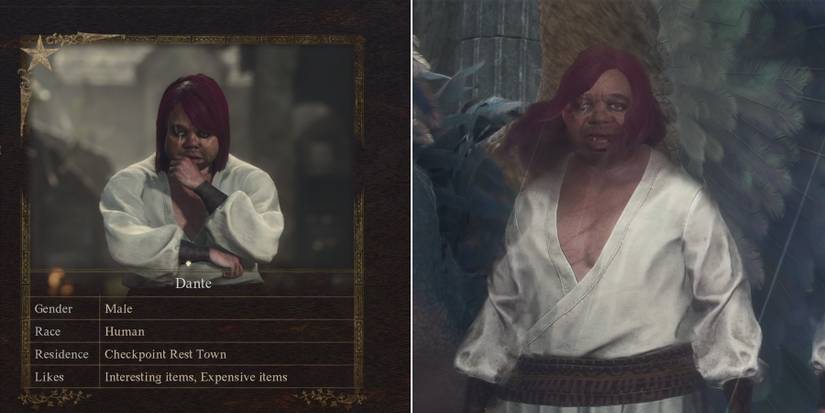 dante and vergil in dragons dogma 2