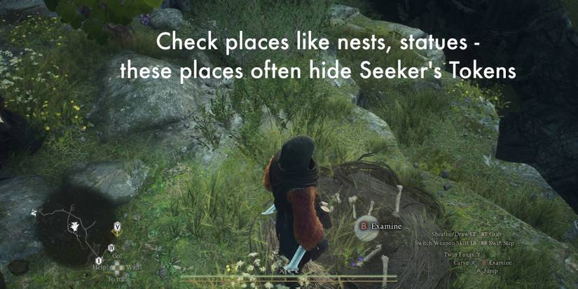 DD2-Seekers-Token-Harpy-Nest