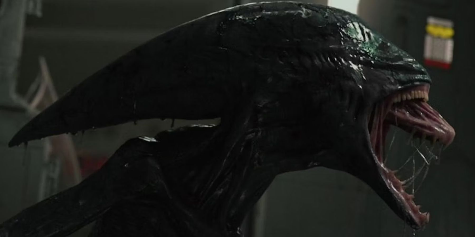 Alien: Every Xenomorph Type, Explained