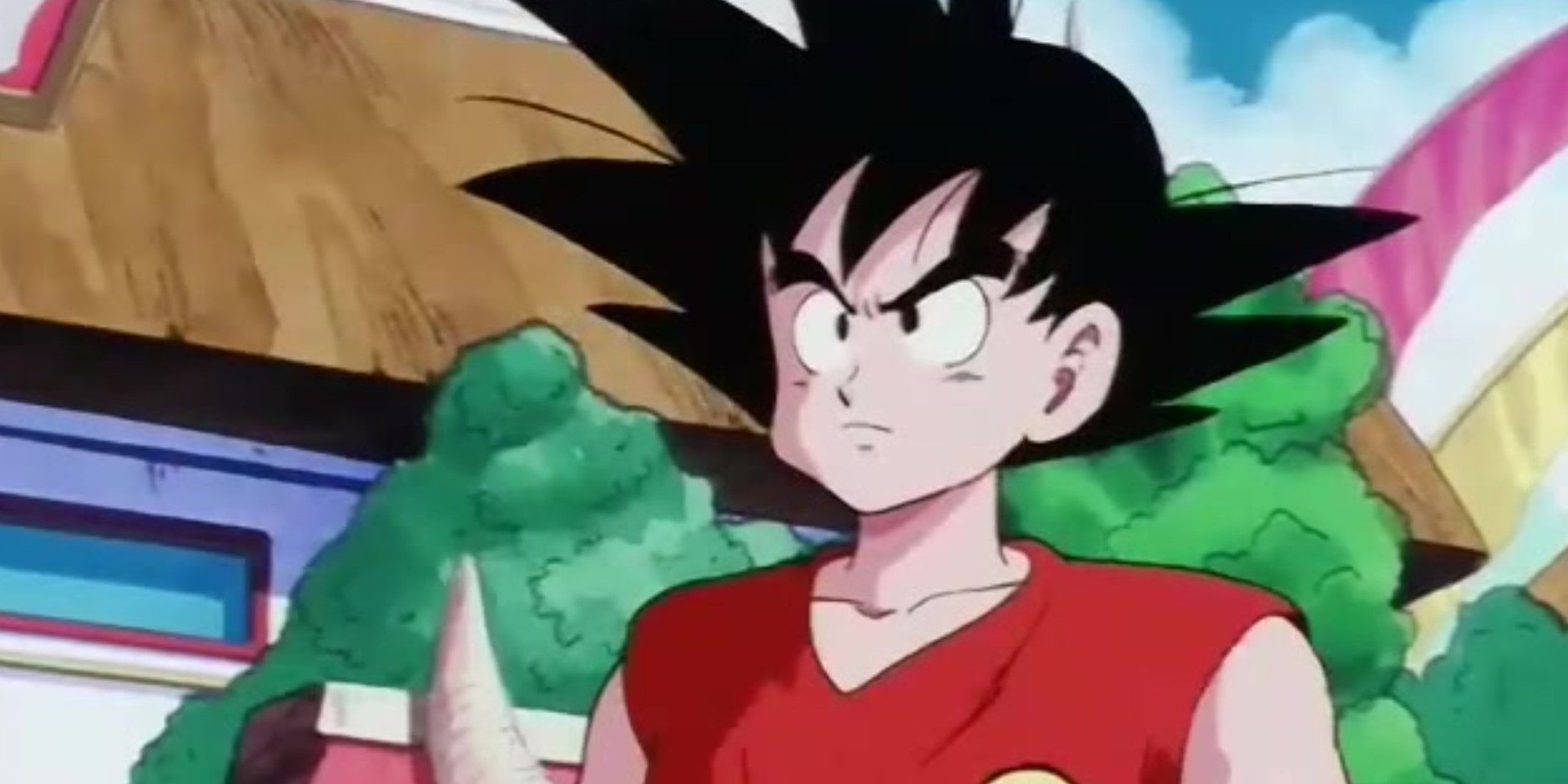 Dragon Ball Goku Piccolo Jr. Saga