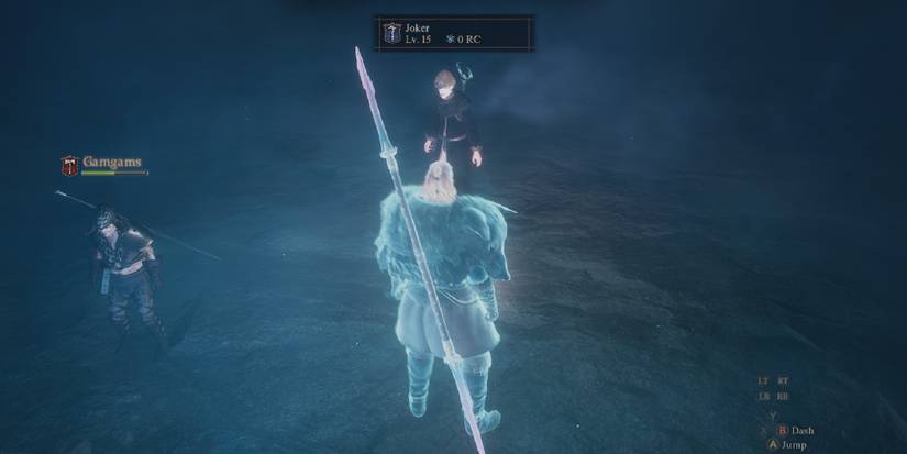 Dragon's Dogma 2 - Example Of A Character Designed After A Fictional Character