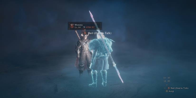 Dragon's Dogma 2 - Example Of Pawn In Really Cool Outfit