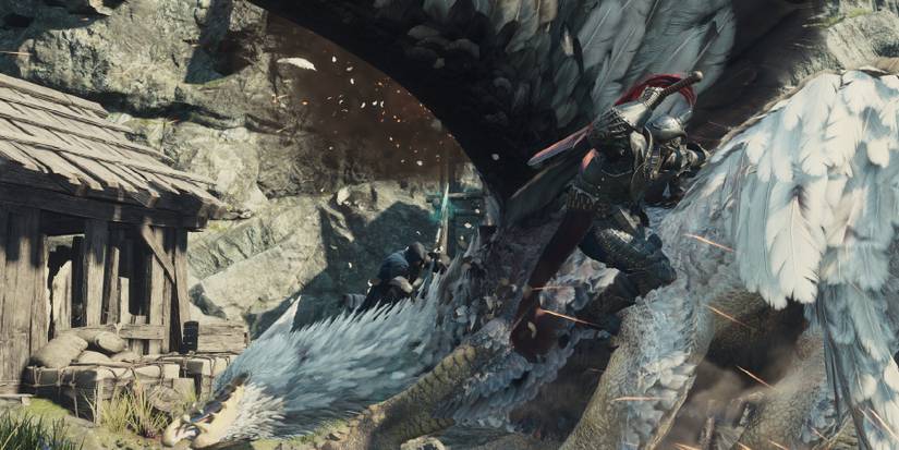 Dragon's Dogma 2 Griffin Fight