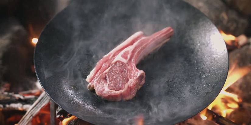 Dragon's  Dogma 2 Meat Cooking