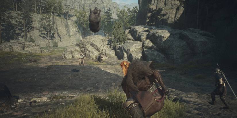 Dragon's Dogma 2 - Pigball Example