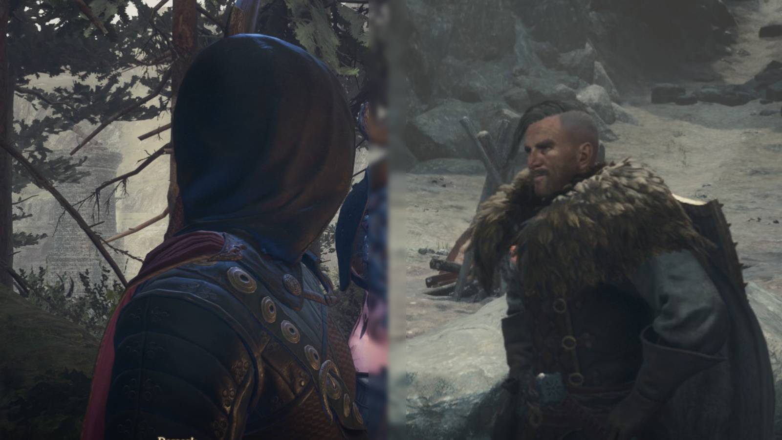 Dragons Dogma 2 Best Early Game Cloaks Capes-3