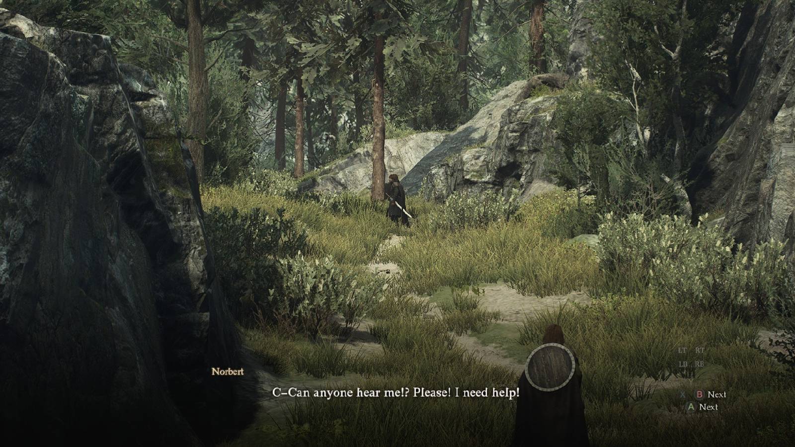 Dragon's Dogma 2 Brothers Brave and Timid