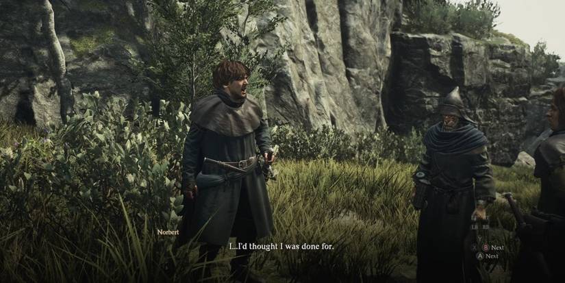dragons dogma 2 brothers norbert quest