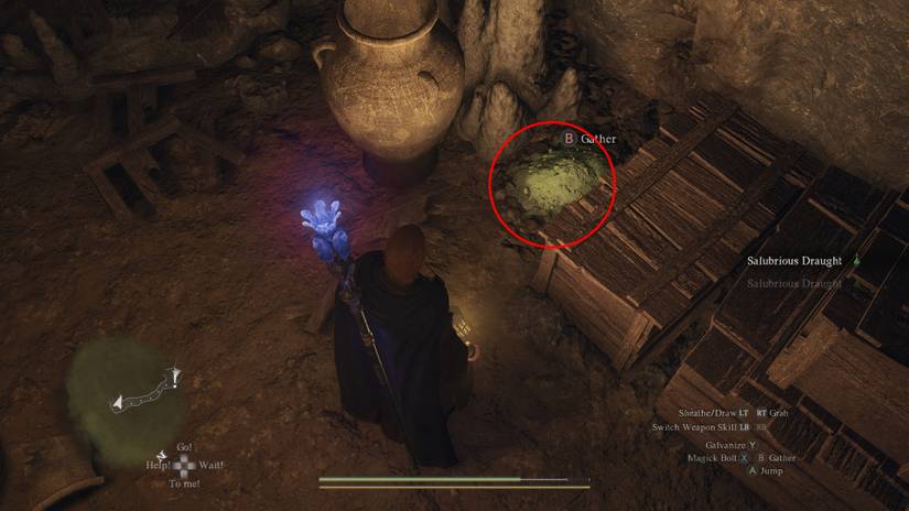 Dragons Dogma 2 Forest Forge Scalecinder