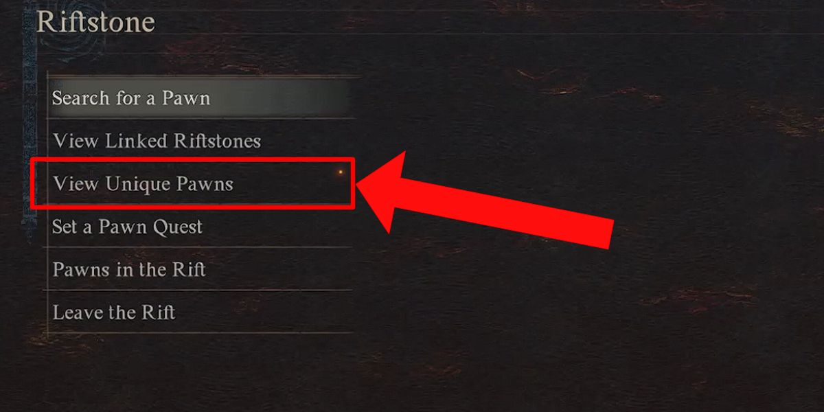 Dragons Dogma 2 Fun Pawn IDs Unique Pawns Option Linked Riftstones