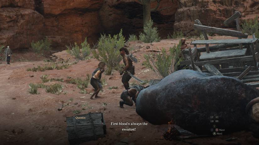 Dragons Dogma 2 Mercy Cart