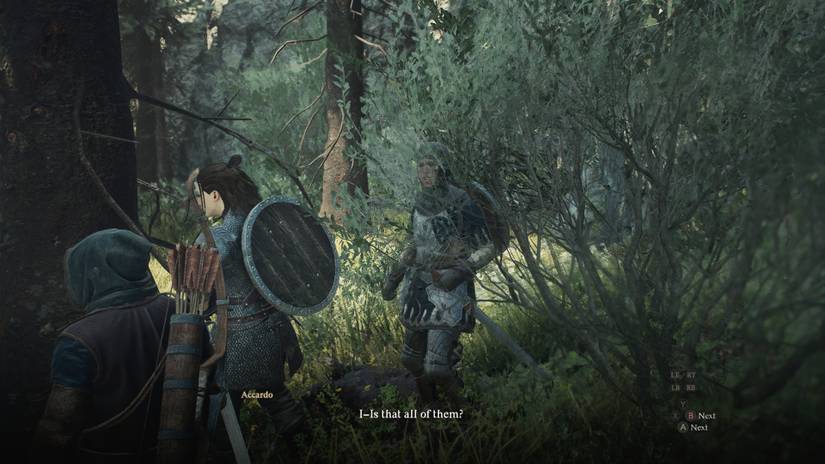 Dragons Dogma 2 Ordeals Accardo