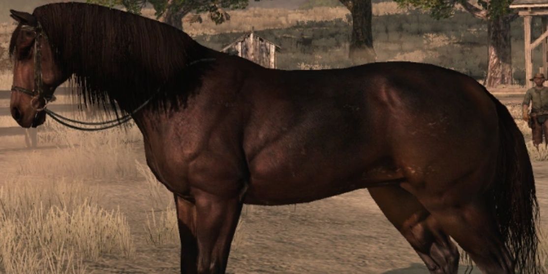 Dutch Warmblood in Red Dead Redemption