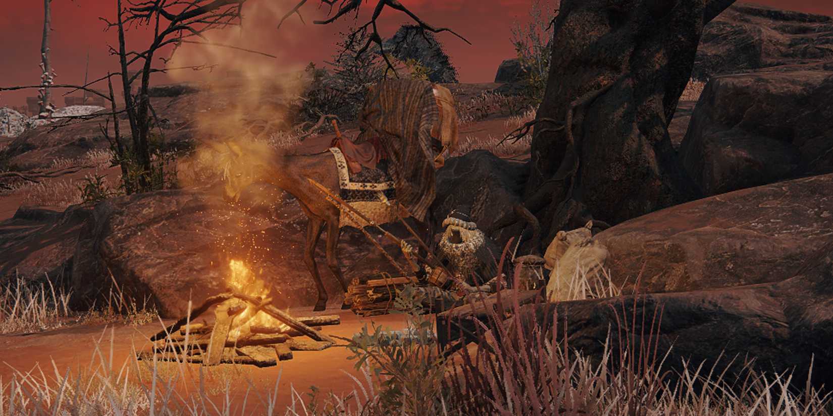 Elden Ring NPC Wandering Nomadic Merchant in Caelid