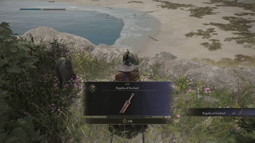 Elden Ring - Regalia of Eochaid